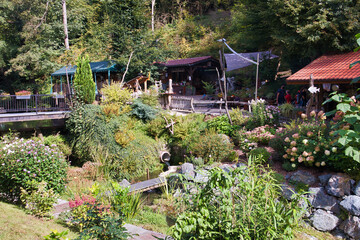 Idyllische Forellenräucherei im Amselgrund mit blühendem Garten, Kurort Rathen, Sächsische Schweiz-Osterzgebirge, Sachsen, Deutschland