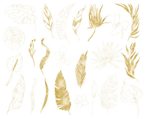 Golden summer line DIY floral elements set with hand painted tropical dried palm leaves, tropical flowers branches of gold leaves. Romantic floral bouquet perfect for wedding greeting cards