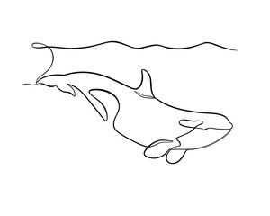 Diving orca drawn in one continuous line