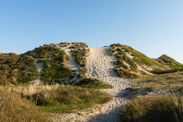 Wandelpath, Walking path