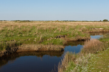 Landschap op Schiermonnikoog, Landscape at Schiermonnikoog