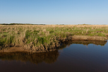 Landschap op Schiermonnikoog, Landscape at Schiermonnikoog