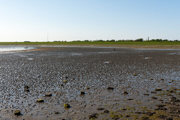 Waddenzee, Wadden Sea