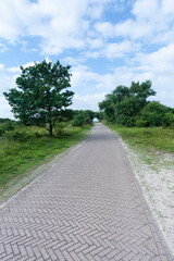 Landscape at Meijendel