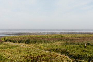 Kust in Westhoek, Coast at Westhoek