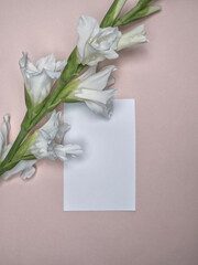 Blank party invitation card and table place card with gladiolus flower. Overhead
