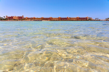 Sunny resort beach with palm tree