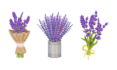 Bunch of Lavender Fragrant Floral Twigs Wrapped in Paper and Rested in Vase Vector Set