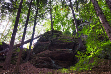 Klettersteige im Elbsandsteingebirge, Sächsische Schweiz Wanderweg, Weg, Sachsen, Deutschland	