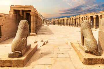 Lion Statues, Temple of Isis, Philae, Aswan, Egypt - obrazy, fototapety, plakaty
