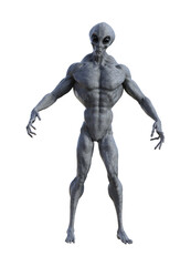 Illustration of a grey alien with muscles in a defensive pose isolated on a white background.