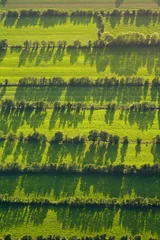 Fotobehang Dutch landscapes from out of a plane © AGAMI