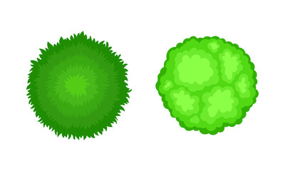 Bush Growth as Landscape Elements Above View Vector Set