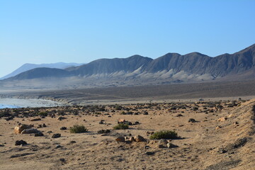 Parc National Pan de Azucar Atacama Chili Amérique Latine
