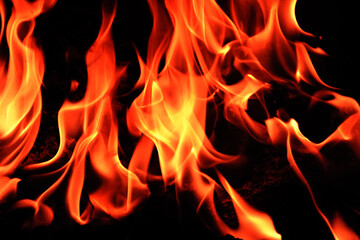 Fototapeta premium flames on a black background.
