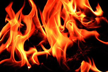 Fototapeta premium flames on a black background.