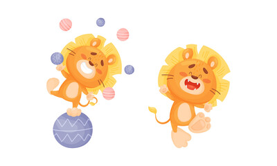 Fototapeta premium Cartoon Lion Cub Playful Character with Thick Mane Juggling with Balls and Walking Vector Set