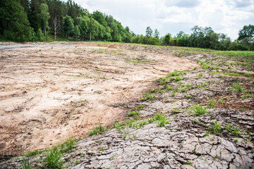 Excavated, withered, unfinished pond without water.
