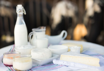 jug of milk, bottle of kefir, cottage cheese, cream and yogurt in bowl, cheese, butter on table in cowshed