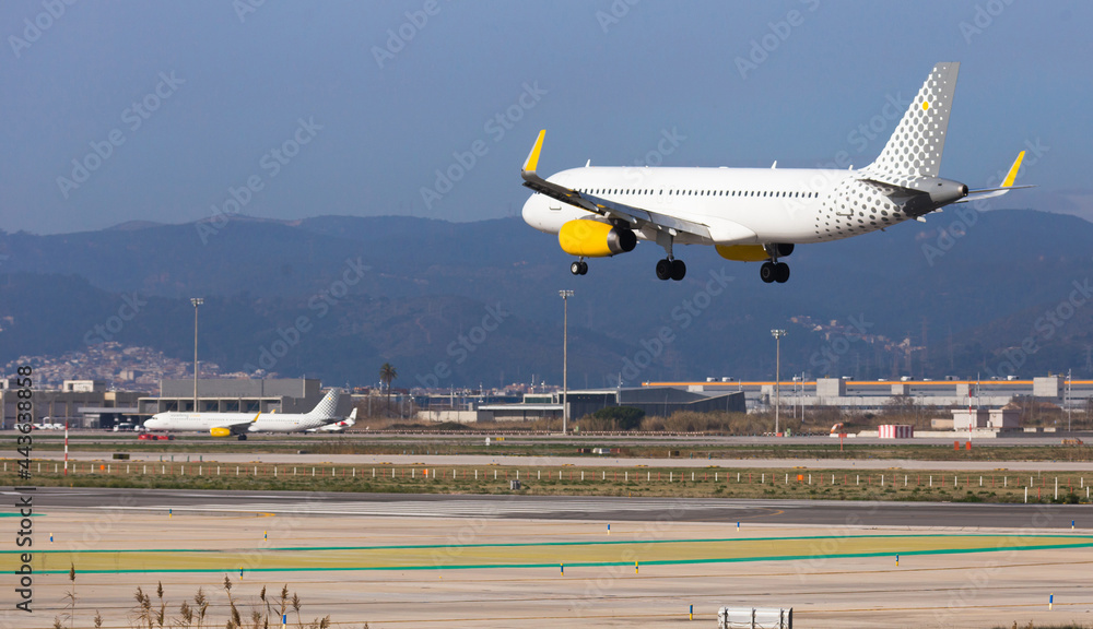 Wall mural passenger plane lands at airport