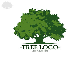 Tree and root silhouette isolated on white background. Tree and roots LOGO style.	