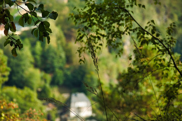 Fototapeta premium Blick durch grünes Laub auf ein Haus im Tal, idyllische Ansicht der Sächsischen Schweiz bei Rathen, Kurort Rathen, Landkreis Sächsische Schweiz-Osterzgebirge, Sachsen, Deutschland