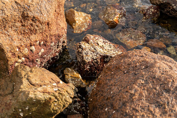 stones in sea on beach nature