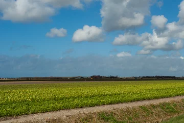 Gordijnen Landscape at Texel © AGAMI