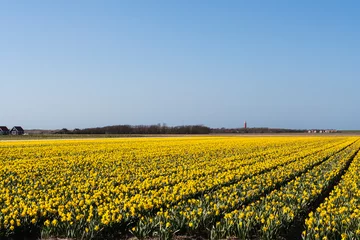 Fotobehang Landscape at Texel © AGAMI