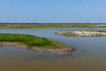 Landscape at Texel