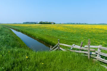 Tuinposter Landscape at Texel © AGAMI