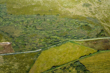 Landschap, Landscape