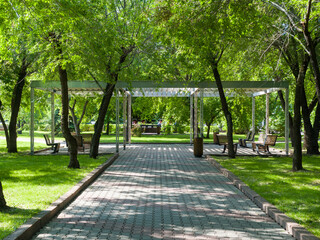 City square. Cobblestone path, benches for rest. Green vegetation in the park. Sunny summer day