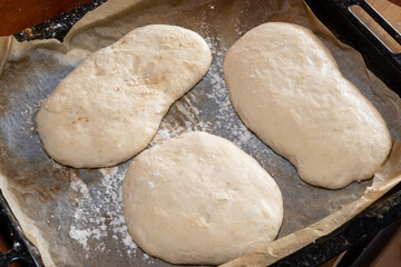 Fototapeta na wymiar Bread doughs on oven tray. Homemade breads, preparation.
