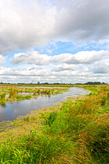 Kropswolderbuitenpolder, Groningen (Nederland / Netherlands)