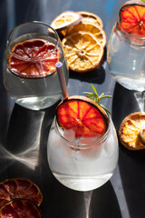 Citrus cocktail. Refreshing summer drinks concept.