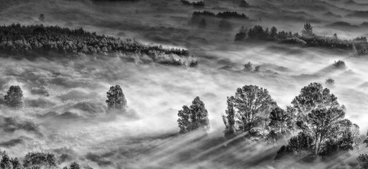 Black and white landscape on mysterious forest at sunrise, Italy landscape
