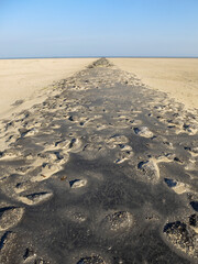 Fototapeta premium Landscape at Texel