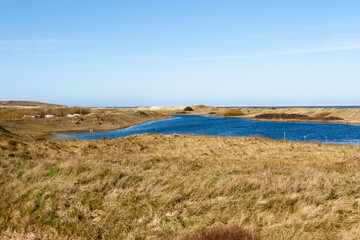Landscape at Texel