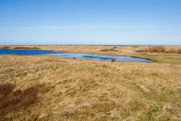 Fototapeta na wymiar Landscape at Texel