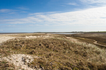 Landscape at Texel