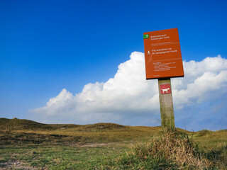 Landscape at Texel