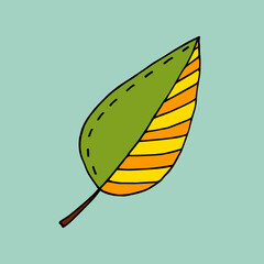 A leaf of a tree with a pattern. Plant. Vector. Doodle. Hand-drawn illustration.