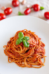 Italian spaghetti with tomato sauce, basil and extra virgin olive oil