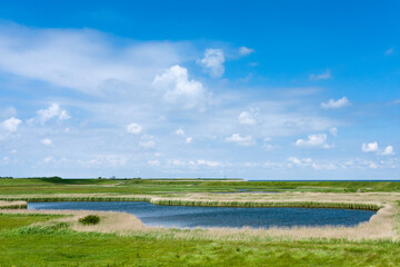 Obraz na płótnie Canvas Landscape at Texel