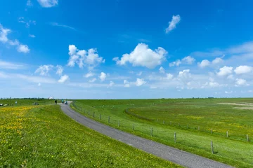 Foto auf Leinwand Landscape at Texel © AGAMI