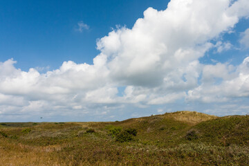Fototapeta premium Landscape at Texel