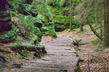 Sächsische Schweiz Wanderwege