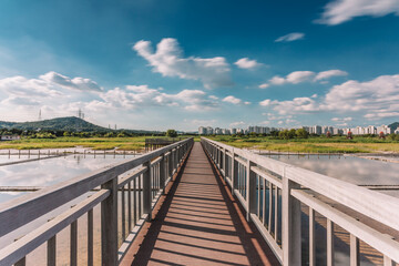 Fototapeta premium Soare Ecology Park in Incheon Korea