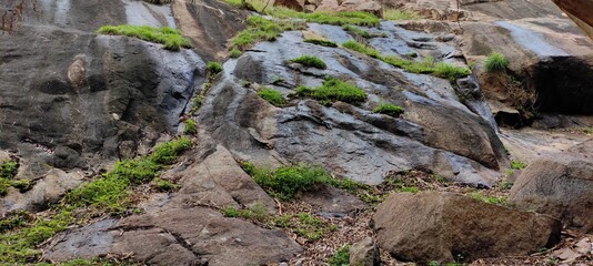 stone in the grass